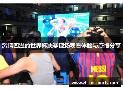 激情四溢的世界杯决赛现场观看体验与感悟分享