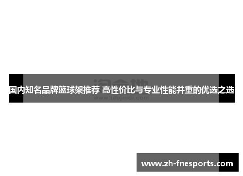 国内知名品牌篮球架推荐 高性价比与专业性能并重的优选之选