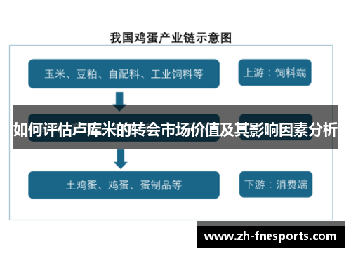 如何评估卢库米的转会市场价值及其影响因素分析