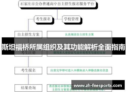 斯坦福桥所属组织及其功能解析全面指南